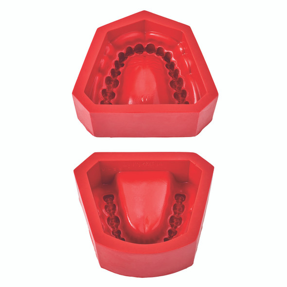 R-22 Upper And Lower Rubber Mold With Third Molars