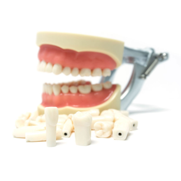 PLATEAU JETABLE 28X18CM SANS COMPARTIMENTS STRIES KENT DENTAL (400) - DSM  Dentaire