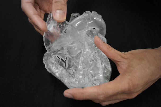 Heart model flexible, translucent version