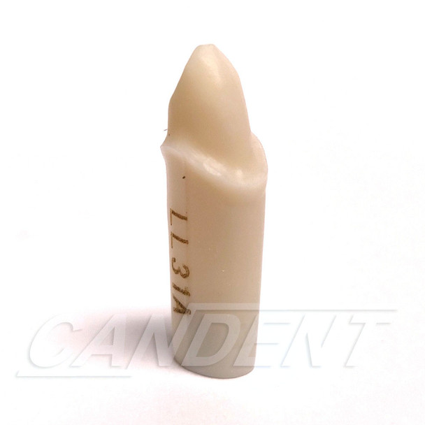 Preprepared Tooth - 3.3 Crown - LL31A