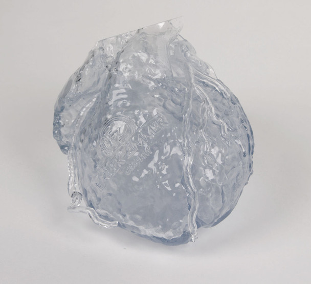 Transparent reproduction of a real human heart with hollow Coronaries