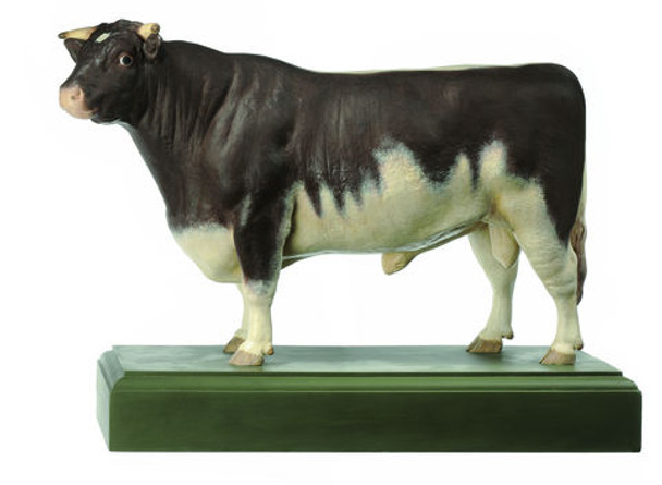 Shorthorn-Bull "Roan Sam"