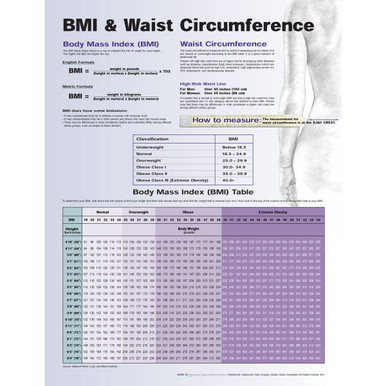 Waist circumference