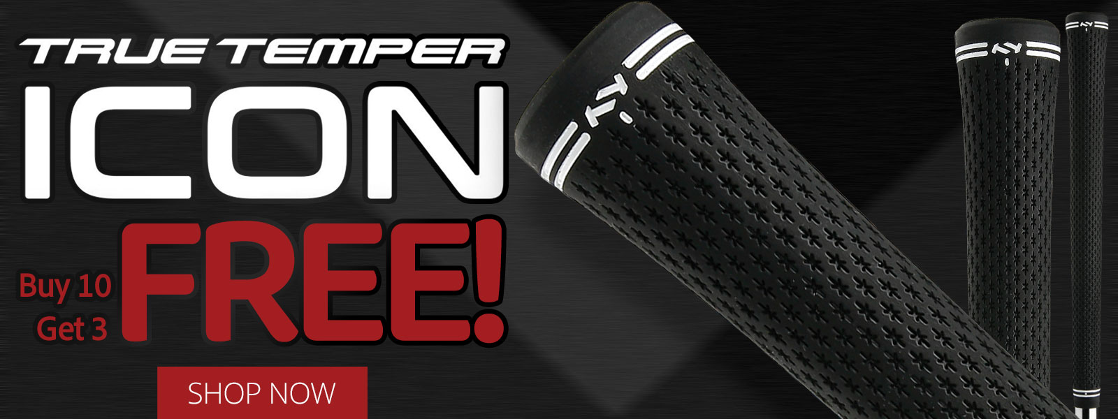 TRUE TEMPER ICON