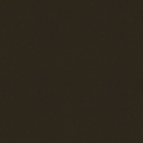 Chrysler PGK, NGK, Tank Base Coat Paint