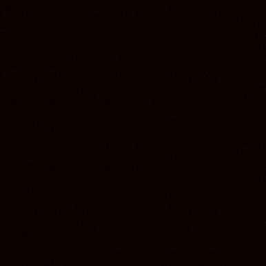 Toyota 4X9, Opulant Amber