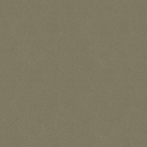 Mitsubishi S40, Light Beige Metallic