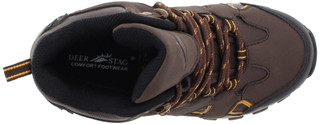 Thumbnail 2: BROWN MULTI