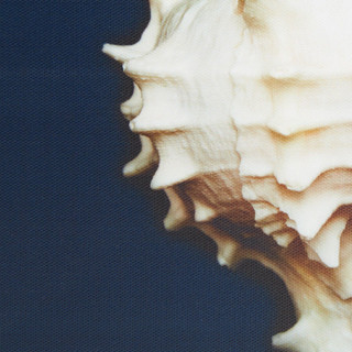 Thumbnail 3: all