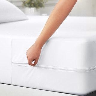 Thumbnail 7: Home Collections Home Collections Bed Bug & Spill Proof Mattress Protector 