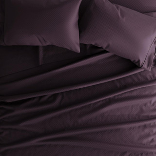 Thumbnail 9: PURPLE