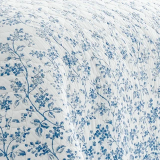 Thumbnail 12: Laura Ashley Laura Ashley Flora Quilt Set 