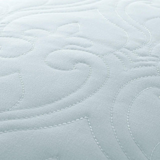 Thumbnail 11: PALE BLUE