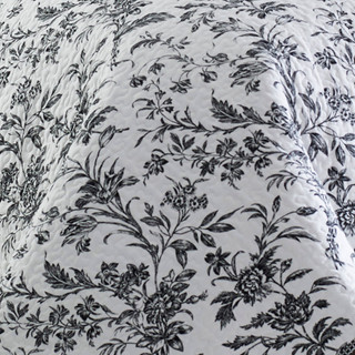 Thumbnail 18: Laura Ashley Laura Ashley Amberley Quilt Set 