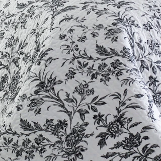 Thumbnail 18: Laura Ashley Laura Ashley Amberley Quilt Set 