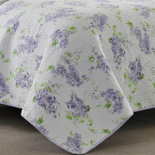 Thumbnail 8: Laura Ashley Laura Ashley Keighley Quilt Set 