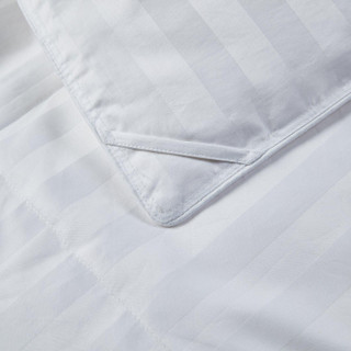 Thumbnail 11: WHITE