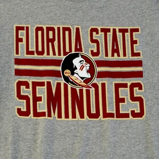 Thumbnail 4: Florida State Florida State Mens Logo T-Shirt by 47 Brand 