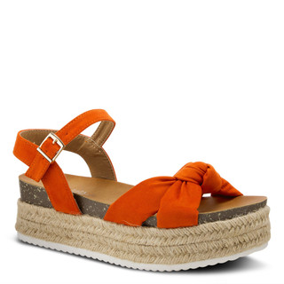 Thumbnail 1: ORANGE