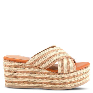 Thumbnail 2: CAMEL MULTI