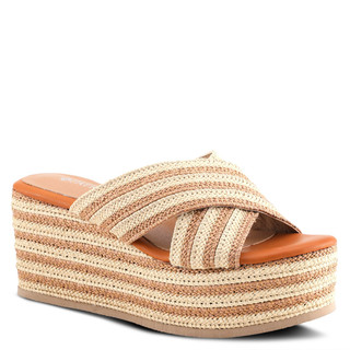 Thumbnail 1: CAMEL MULTI