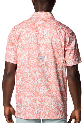Thumbnail 2: CORAL