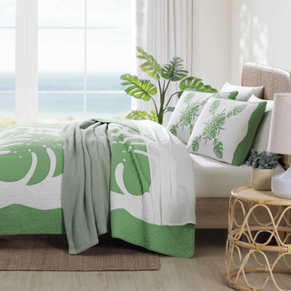 Thumbnail 6: Green