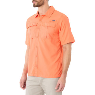 Thumbnail 3: Orange