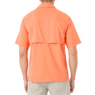 Thumbnail 2: Orange