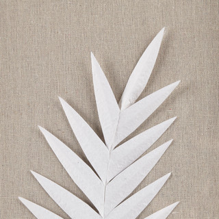 Thumbnail 4: Madison Park Sabal Framed Rice Paper Palm Leaves Shadowbox Wall Decor Set 