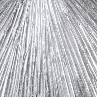 Thumbnail 4: SILVER