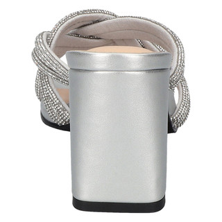 Thumbnail 4: SILVER