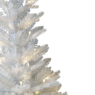 Thumbnail 2: White