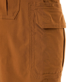 Thumbnail 9: Camel