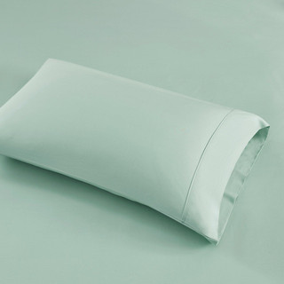 Thumbnail 10: Seafoam