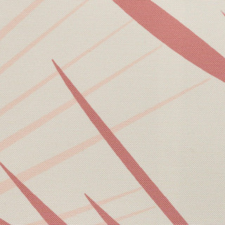 Thumbnail 3: CORAL MULTI