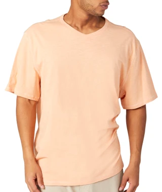 Thumbnail 1: REEL LEGENDS Mens Performance Pineland V Neck Short Sleeve Shirt 