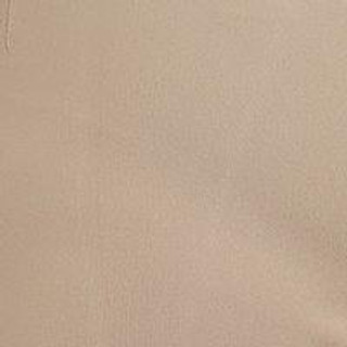 Thumbnail 5: TAN