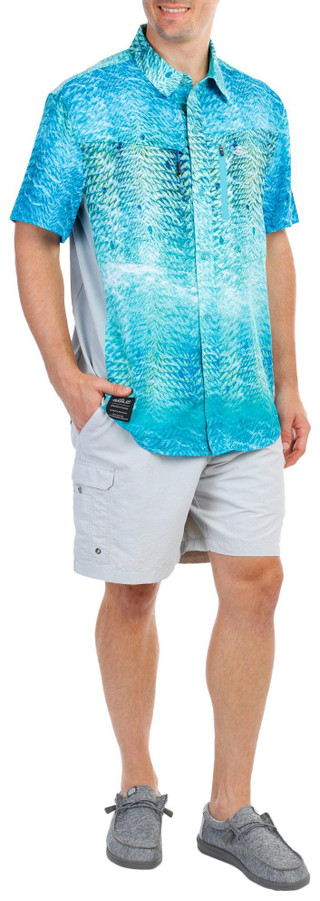 Thumbnail 5: TEAL