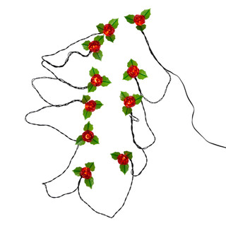 Thumbnail 2: Red