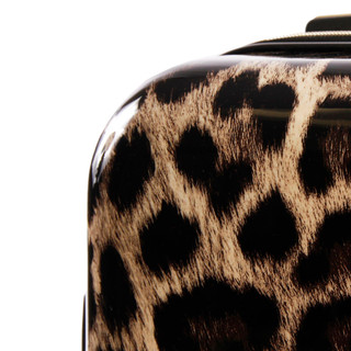Thumbnail 15: LEOPARD