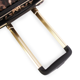 Thumbnail 5: LEOPARD