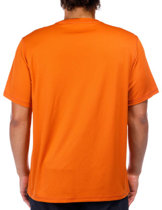 Thumbnail 3: APRICOT