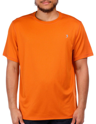 Thumbnail 4: APRICOT