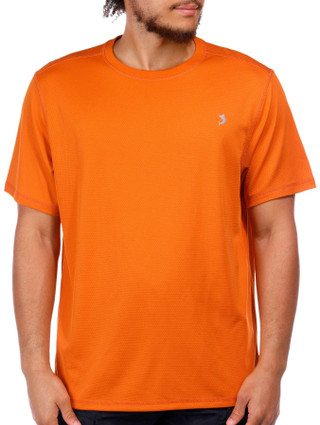 Thumbnail 1: APRICOT