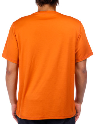 Thumbnail 3: APRICOT