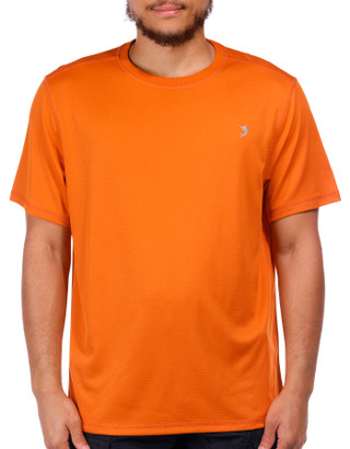 Thumbnail 4: APRICOT