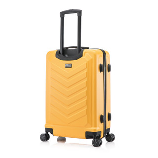 Thumbnail 6: Mustard