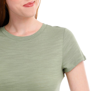 Thumbnail 2: SUMMER OLIVE