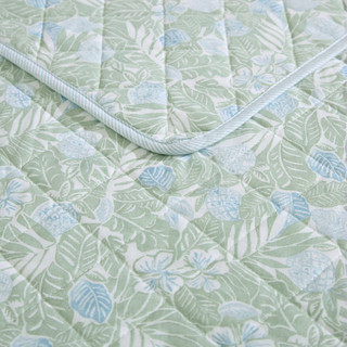 Thumbnail 8: Green/Blue